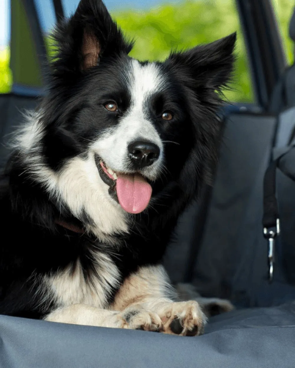Henry Wag Pet Car Hammock