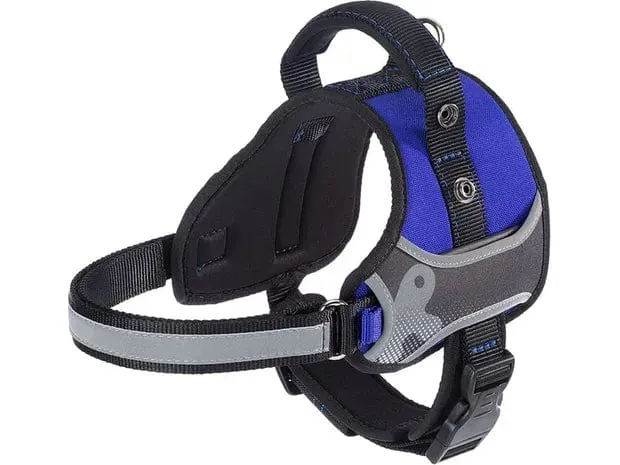 HERCULES P HI-TECH BLUE NYLON HARNESS Pets Qatar