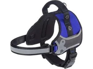 HERCULES P HI-TECH BLUE NYLON HARNESS Pets Qatar