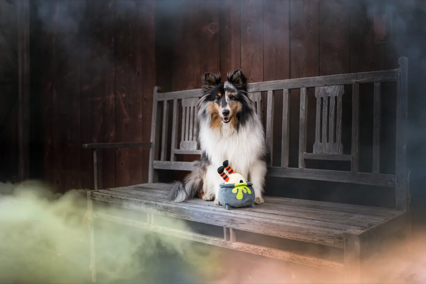 Howling Haunts Pup's Potion