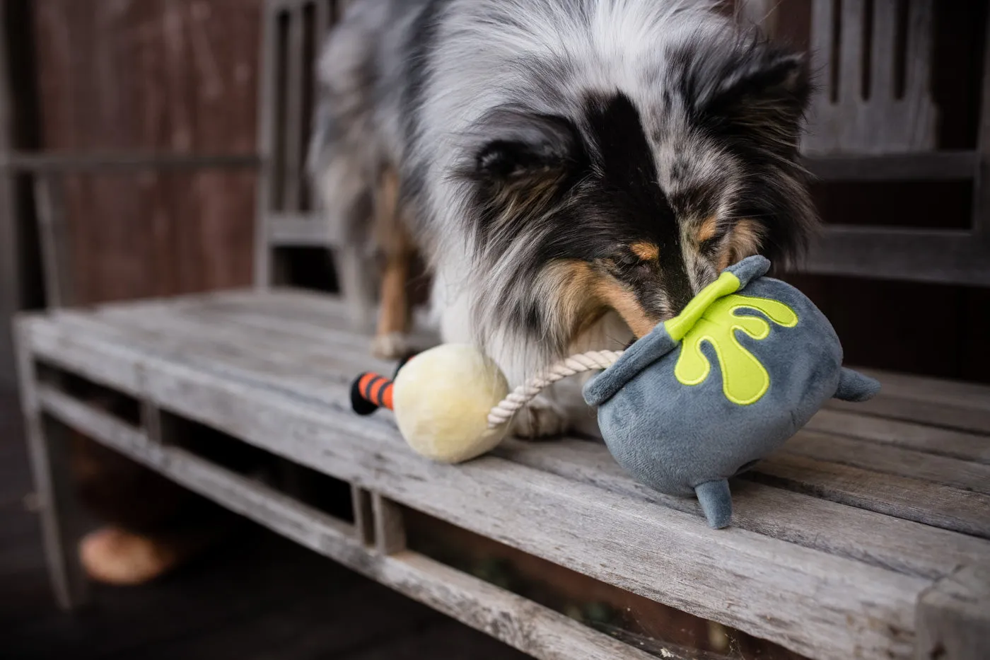 Howling Haunts Pup's Potion