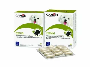 Hybrid Tablets Pets Qatar