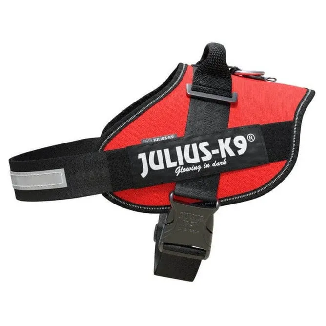 IDC Powerharness - Red / Size 3 Pets Qatar