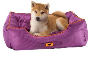 Jazzy 50 Bedding Purple Pets Qatar