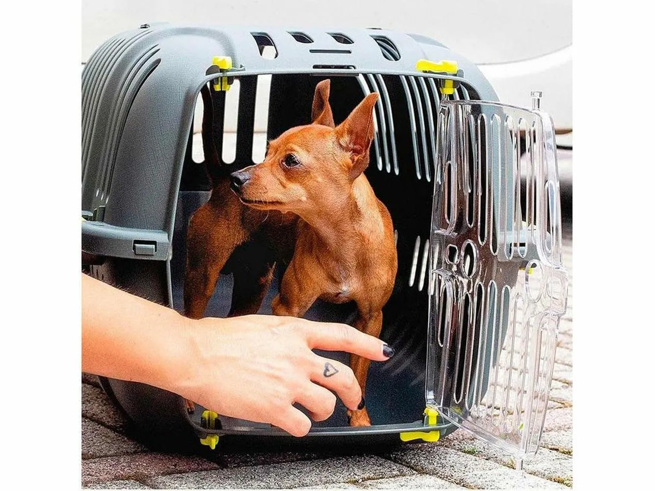 JET 20 TRASPORTINO Pets Qatar