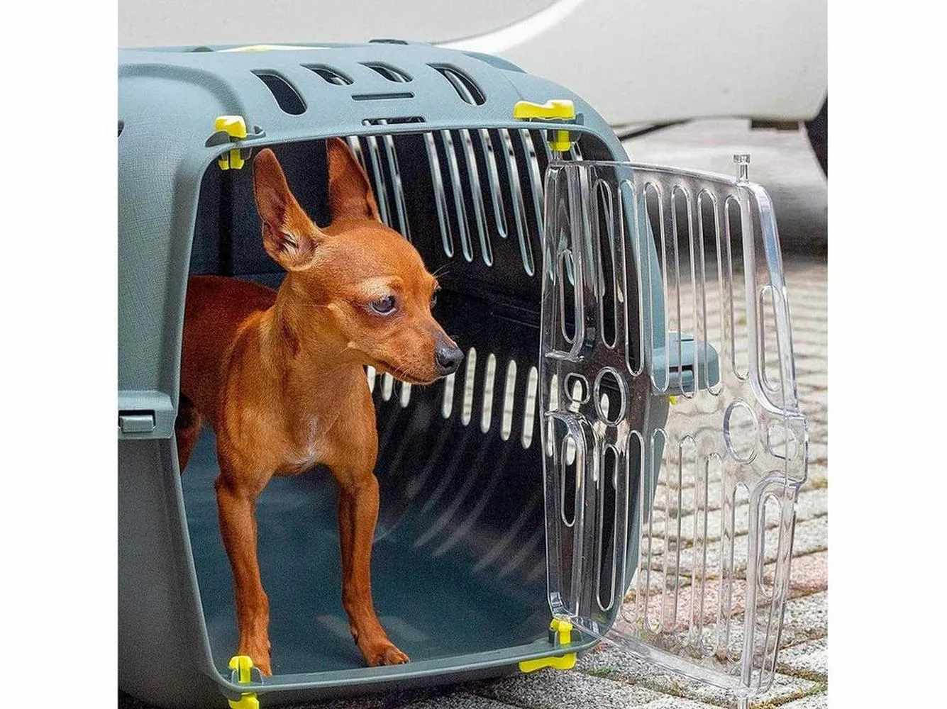 JET 20 TRASPORTINO Pets Qatar