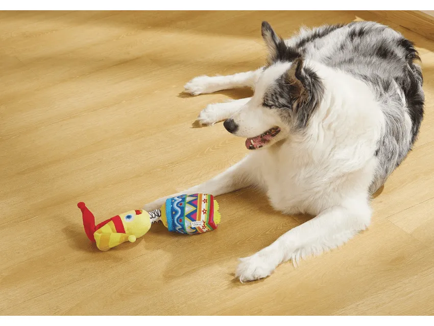 Joyful Snack Attack Dog Toy - Jester Pets Qatar