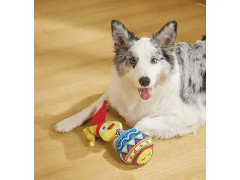 Joyful Snack Attack Dog Toy - Jester Pets Qatar