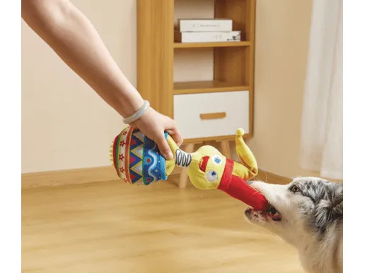 Joyful Snack Attack Dog Toy - Jester Pets Qatar