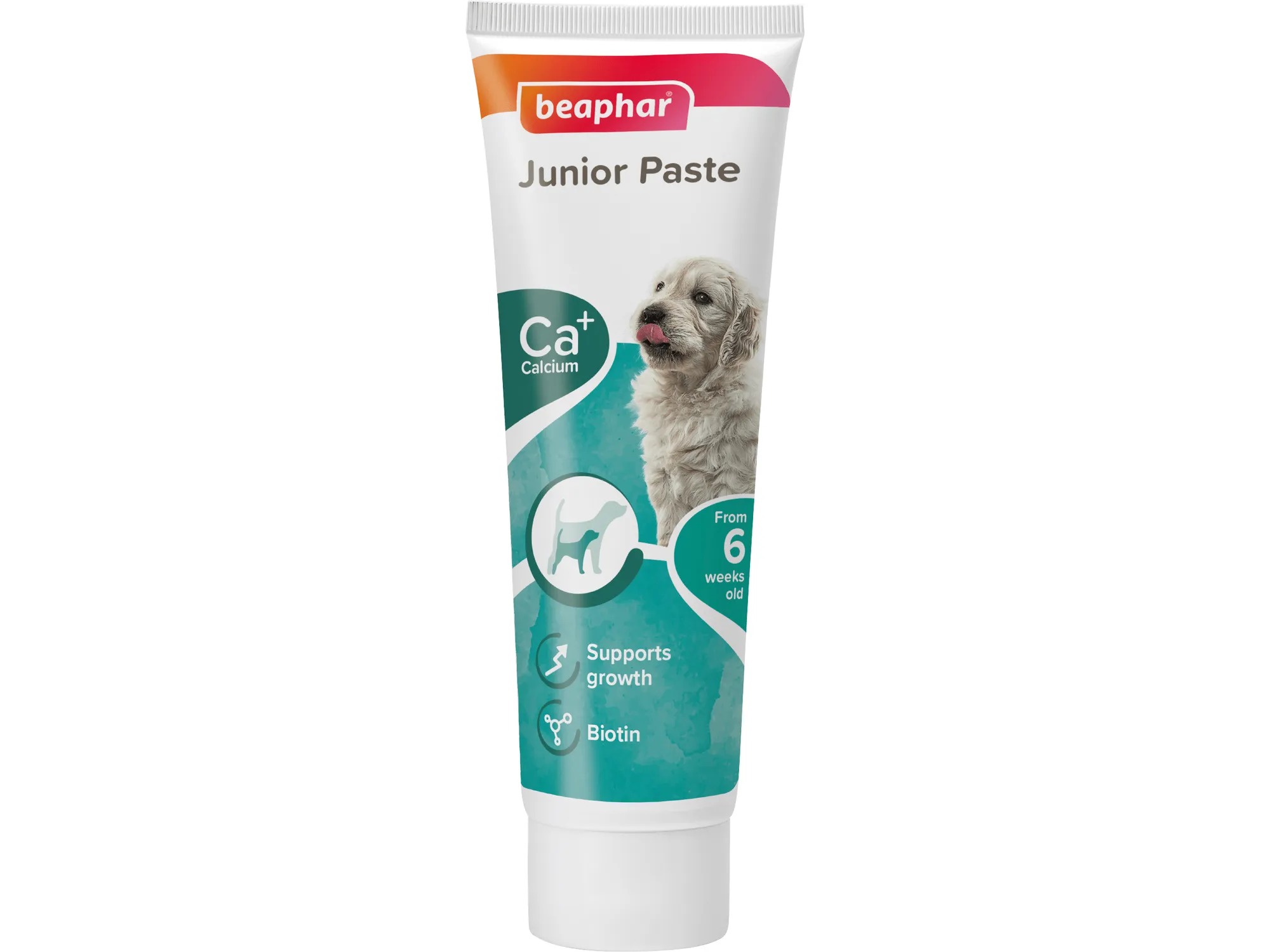 Junior Paste - Dog / 100 g Pets Qatar