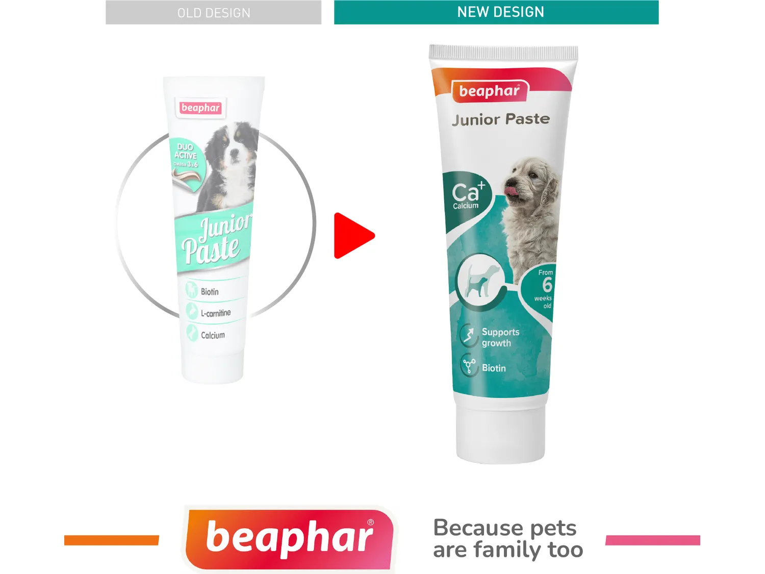 Junior Paste - Dog / 100 g Pets Qatar