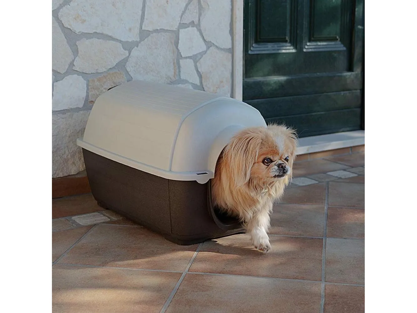 Kenny Mini Plastic Kennel Pets Qatar