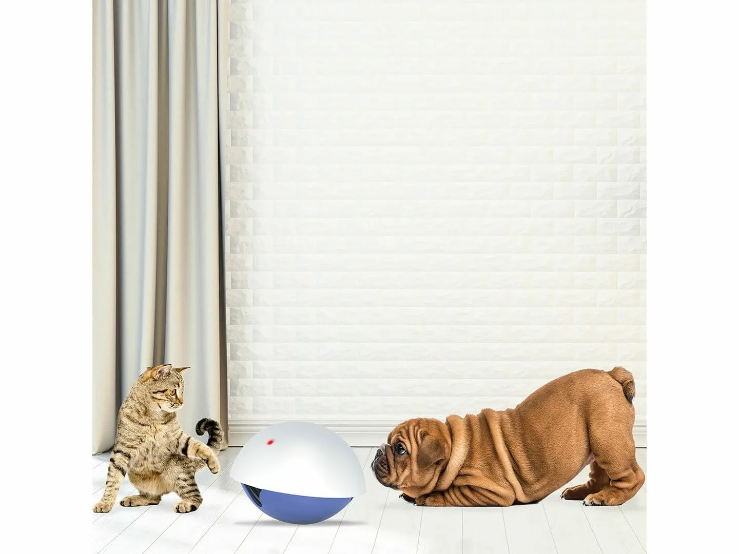 LASER `N’ SNACK TOY 19x19x15cm white/blue Pets Qatar