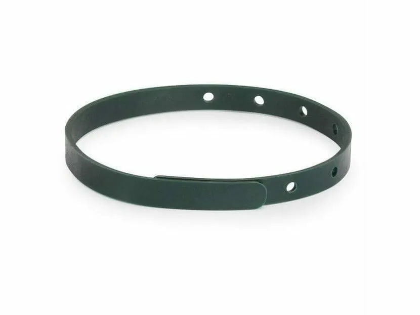 Leis Barrier Collar For Dogs 35 Pets Qatar