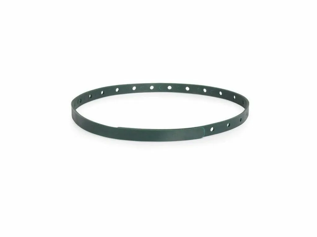 Leis Barrier Collar For Dogs 60 Pets Qatar