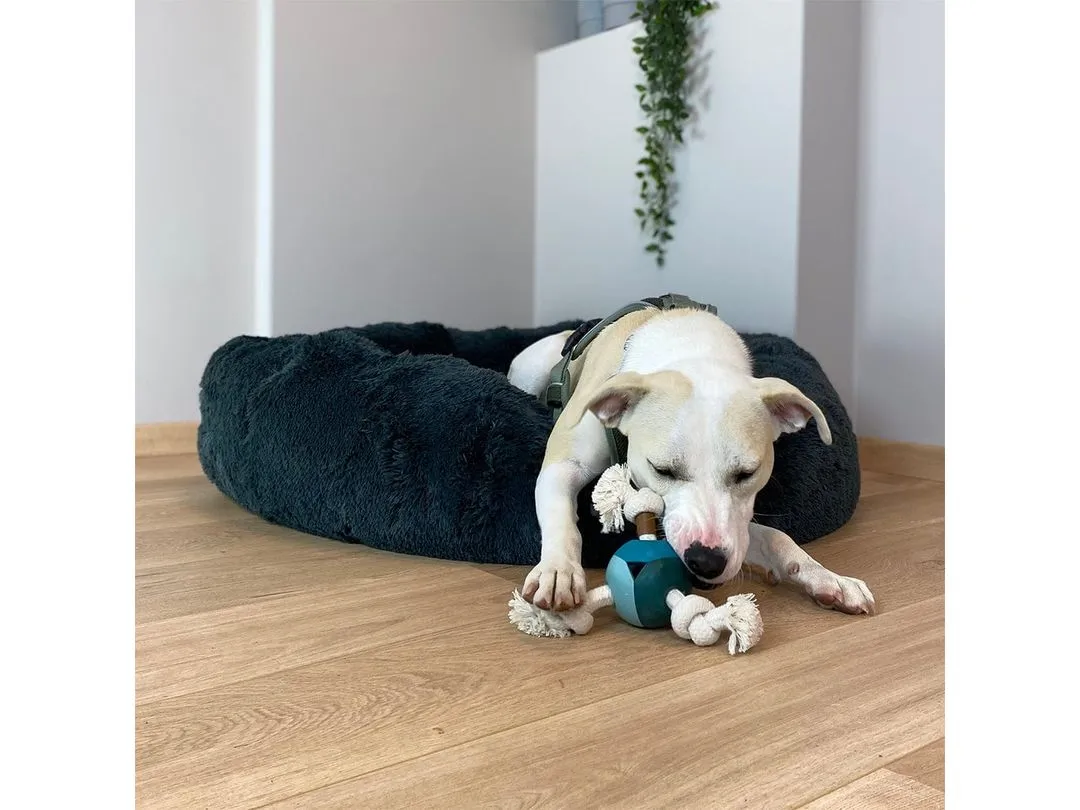 Levi Lagoon dog toy 22x8x22cm blue Pets Qatar
