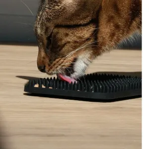 LEX - Licking mat studs 10x20x1,3cm black Pets Qatar