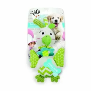 Little Buddy Kookoo Bird Pets Qatar