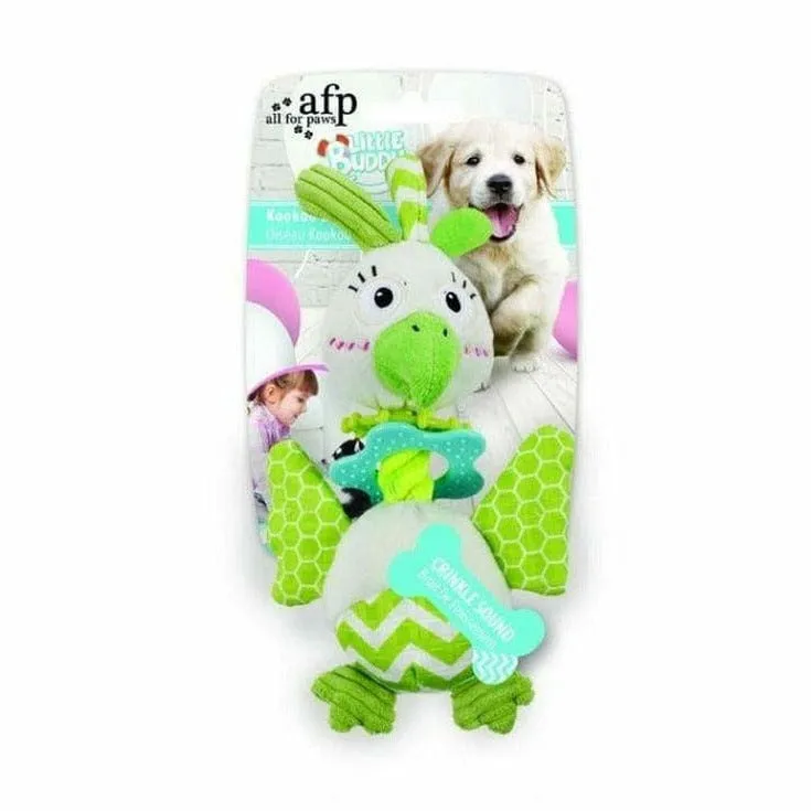 Little Buddy Kookoo Bird Pets Qatar