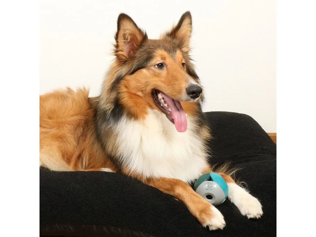 Luca Lagoon dog toy 8x8x8cm blue Pets Qatar