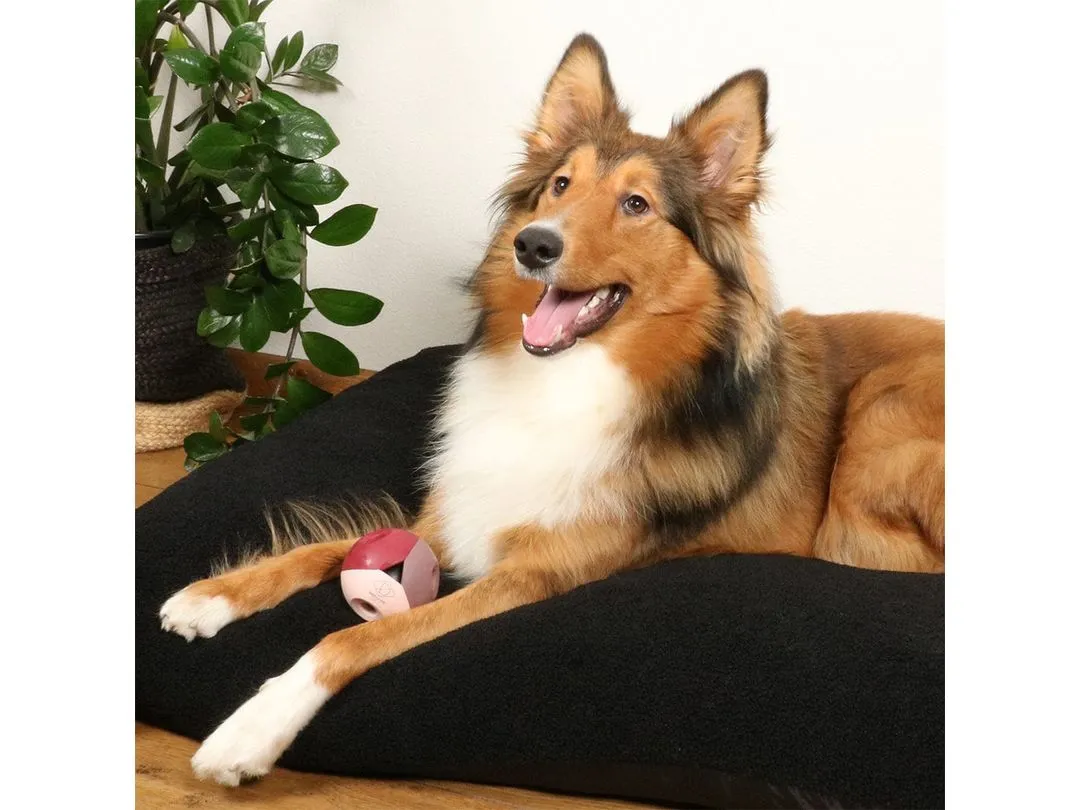 Luca Rosewood Dog Toy Pink Pets Qatar