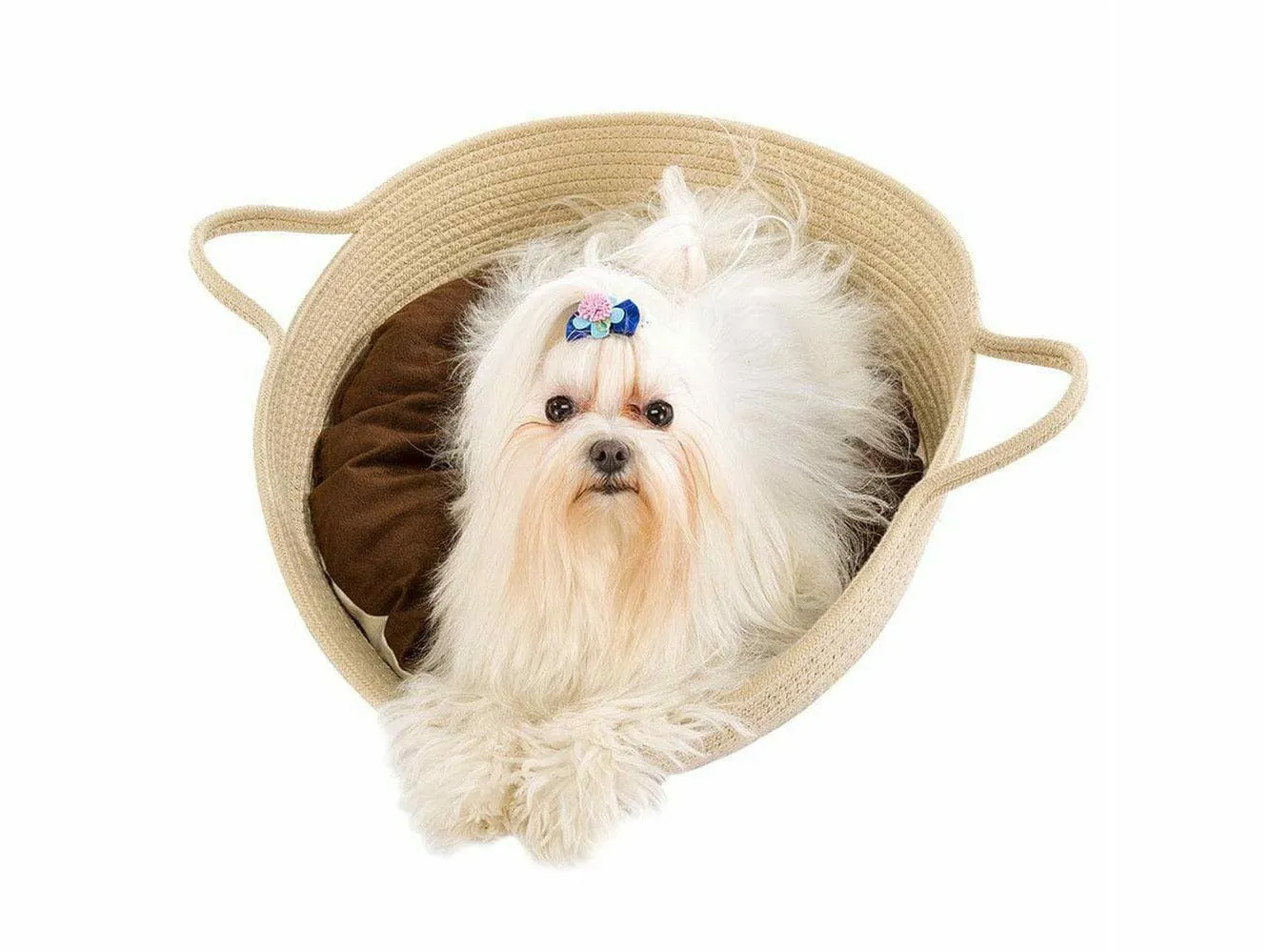 MAJA BEIGE CUCCIA Pets Qatar