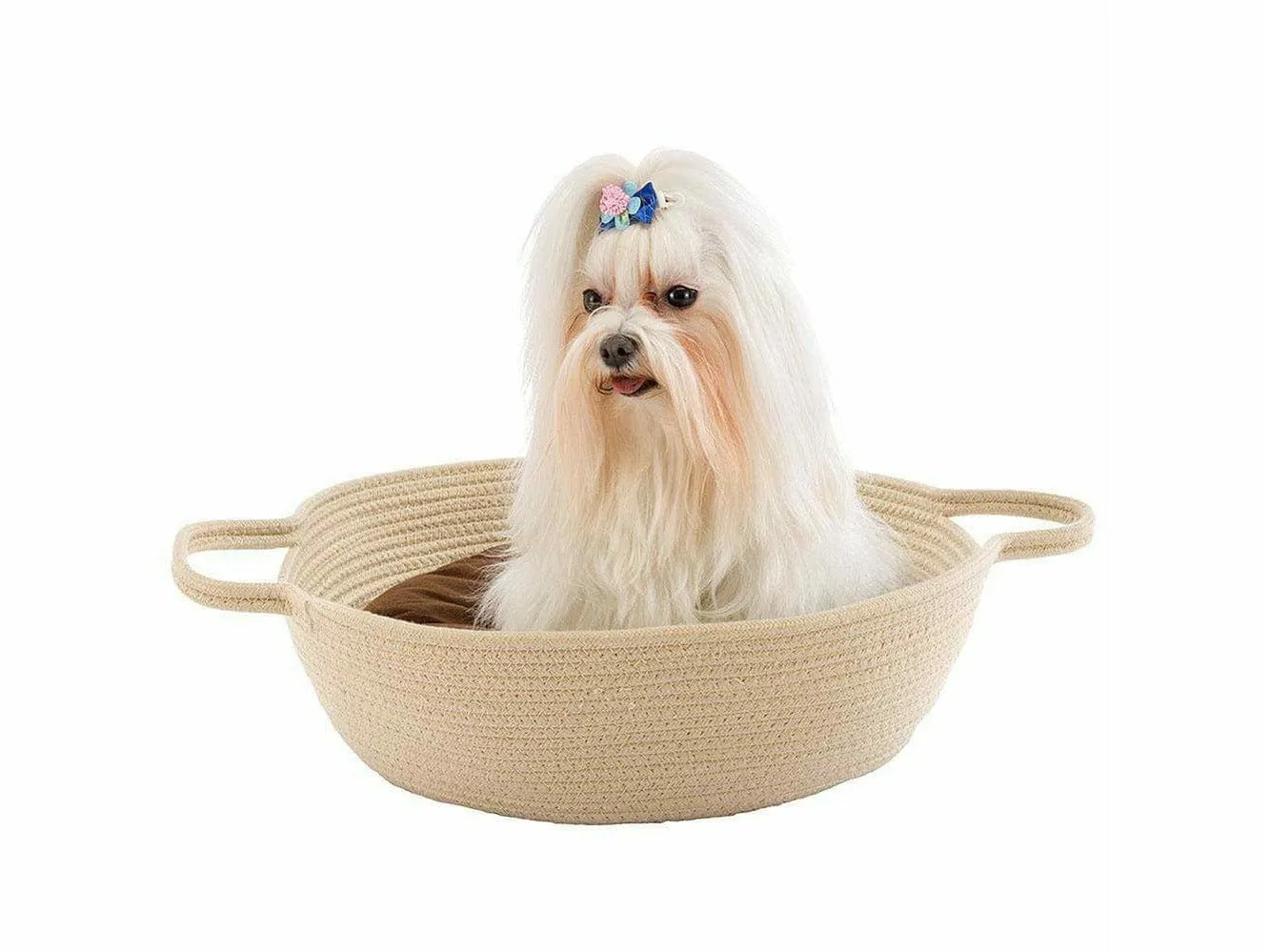 MAJA BEIGE CUCCIA Pets Qatar