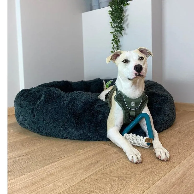 Milan Lagoon dog toy 16,5x15x5cm blue Pets Qatar