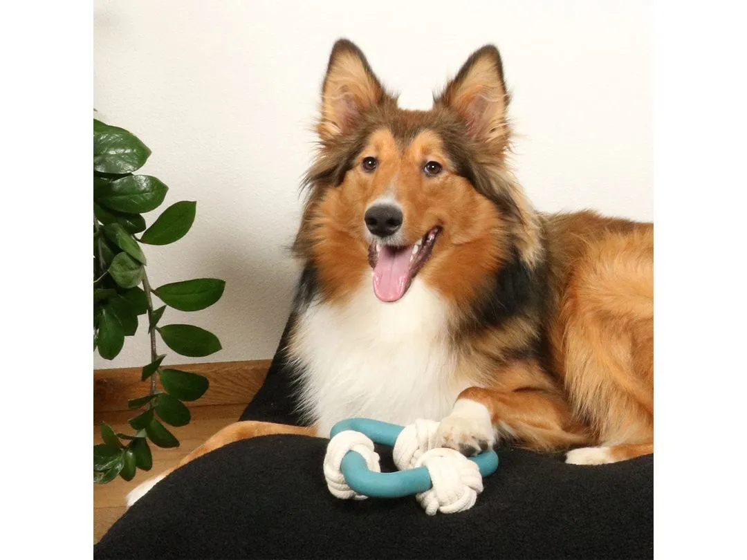 Milou Lagoon dog toy 17x18,5x6,5cm blue Pets Qatar