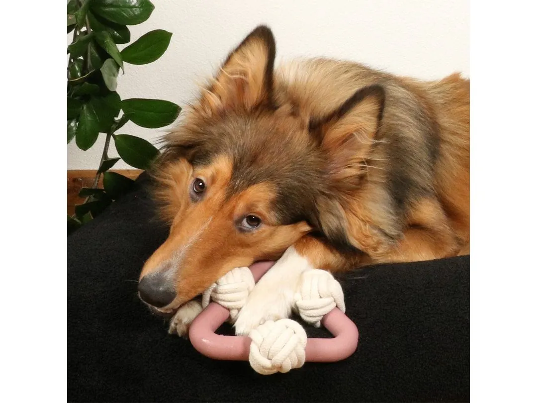 Milou Rosewood dog toy 17x18.5x6.5cm pink Pets Qatar
