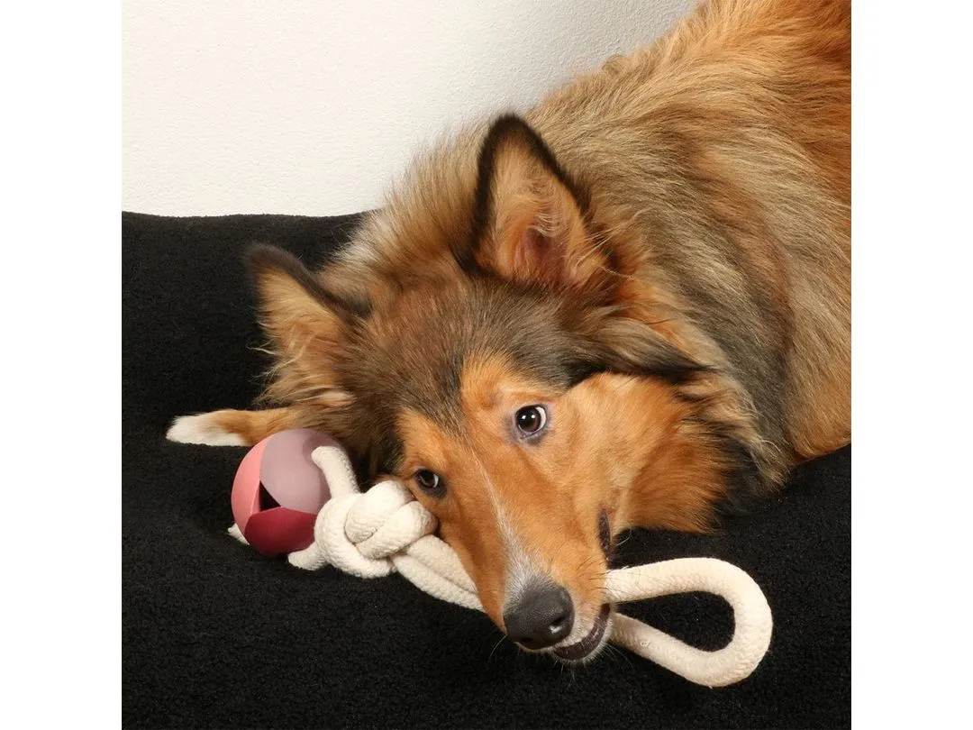 Nora Rosewood Dog Toy Pink Pets Qatar