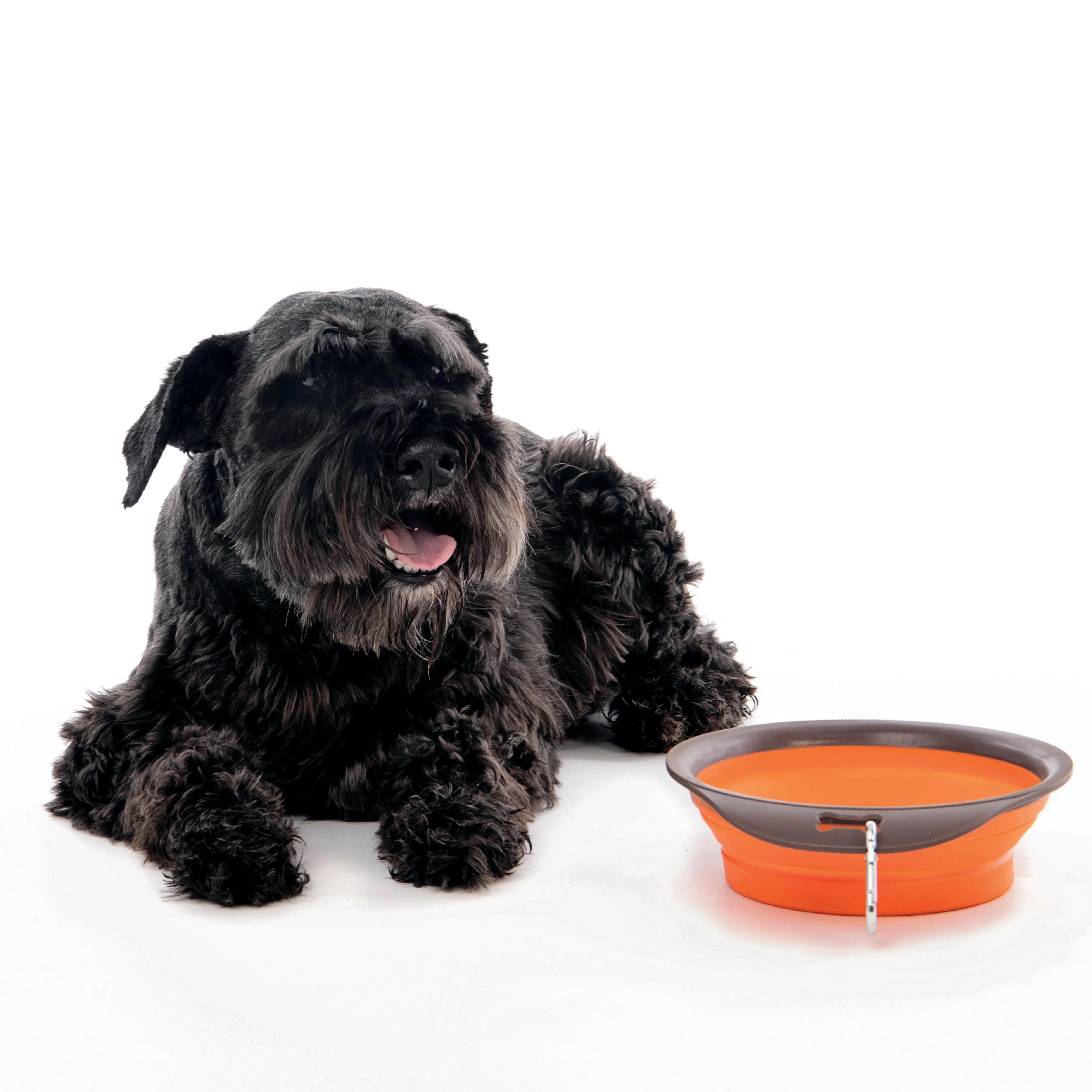 ON THE ROAD Foldable Bowl