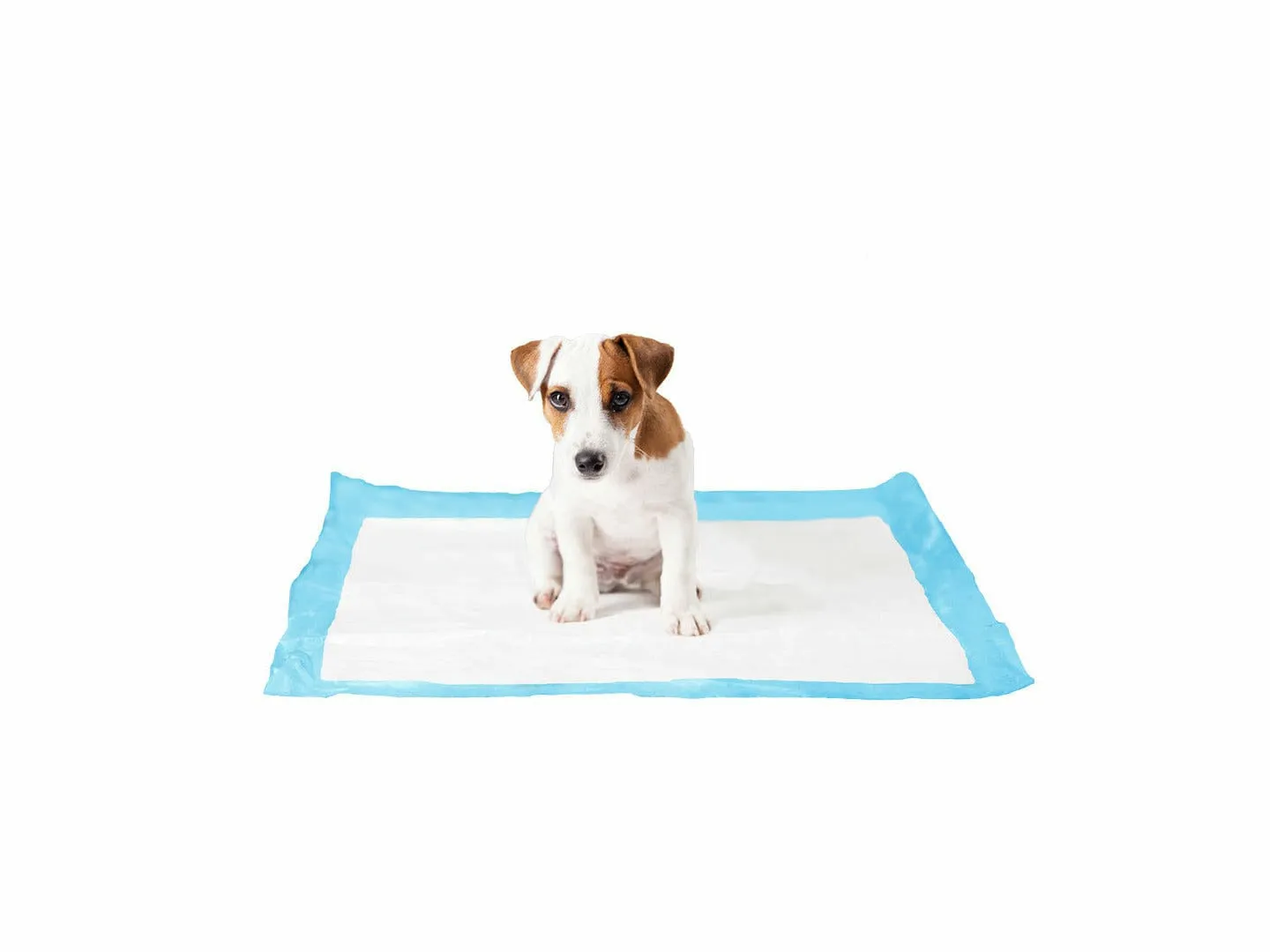 P-PAD XXL - 7st - 60x90cm Pets Qatar