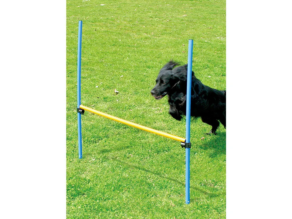 PAWISE  Agility Hurdle Pets Qatar