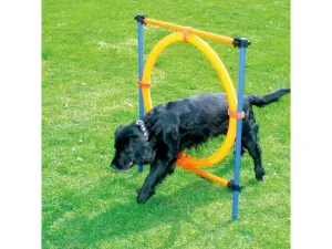PAWISE  Agility Ring Pets Qatar