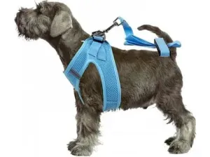 PAWISE Air Mesh Soft Harness S w/1.2m leash Pets Qatar