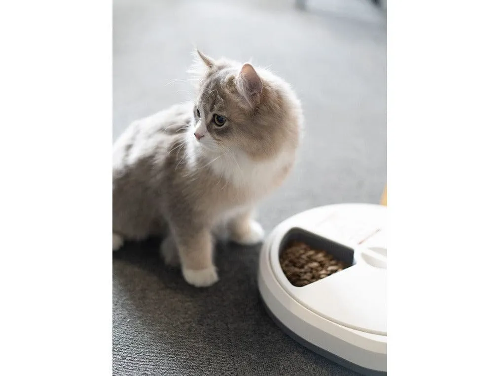 PAWISE  Automatic Pet Feeder Pets Qatar