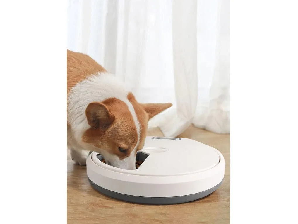 PAWISE  Automatic Pet Feeder Pets Qatar
