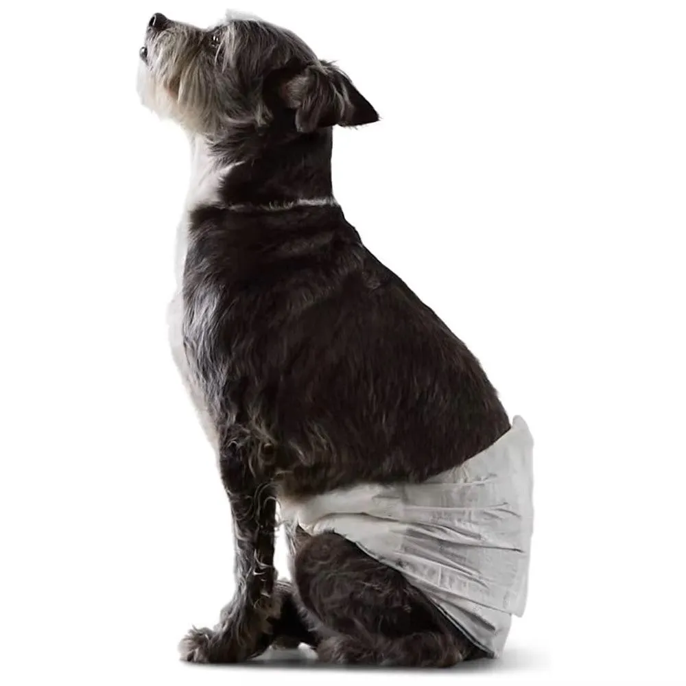 PAWISE Black Disposable Diapers-12pack Pets Qatar