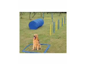 PAWISE  dog training set Pets Qatar
