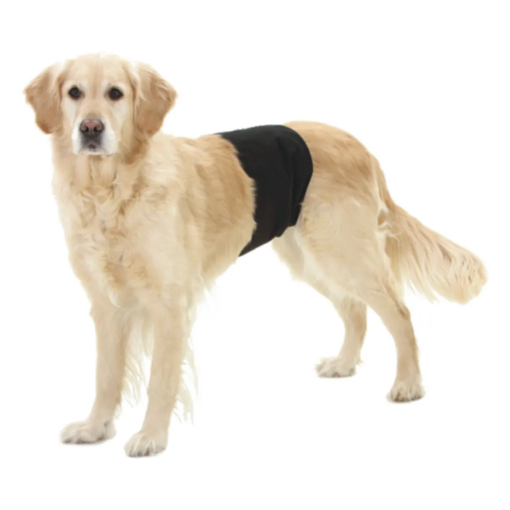 PAWISE Gentleman Wrap Pets Qatar