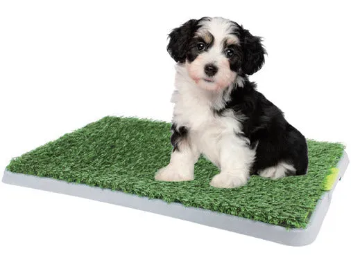 PAWISE  Green Trainer  17x27" Pets Qatar