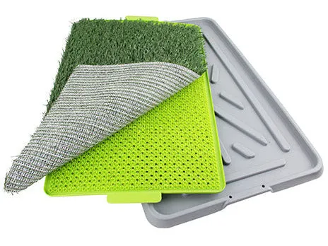 PAWISE  Green Trainer  17x27" Pets Qatar
