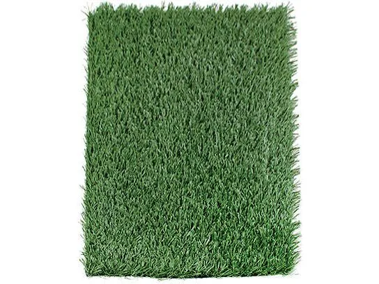 PAWISE  Green Trainer Replacement Mat-1PK Pets Qatar