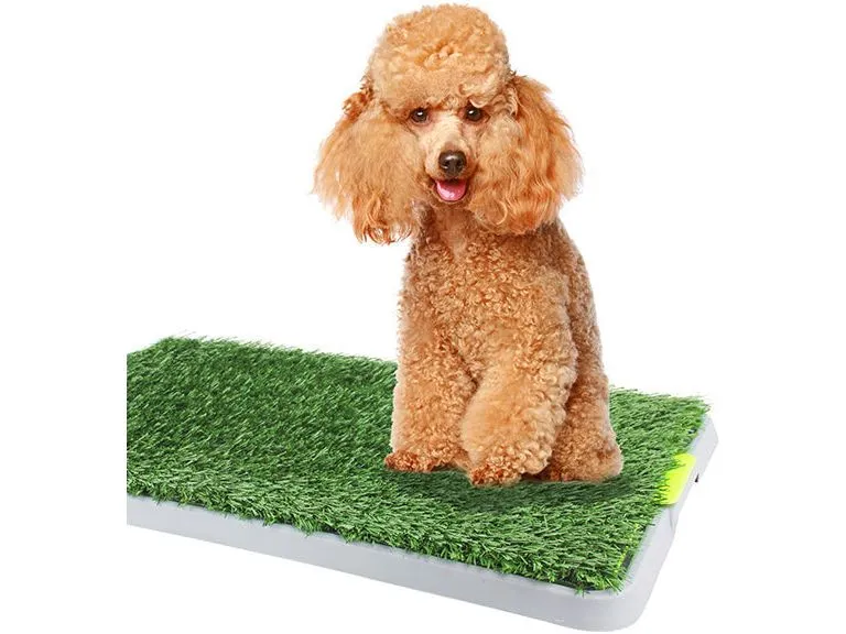 PAWISE  Green Trainer Replacement Mat-1PK Pets Qatar