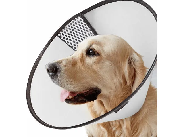 PAWISE Pet E-collar Pets Qatar