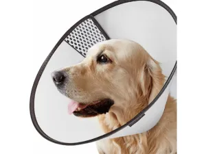 PAWISE Pet E-collar Pets Qatar