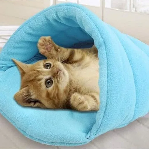 PAWISE  PET TENT BED Pets Qatar