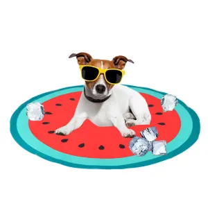 PAWISE  Watermelon Cooling Pet Mat Pets Qatar