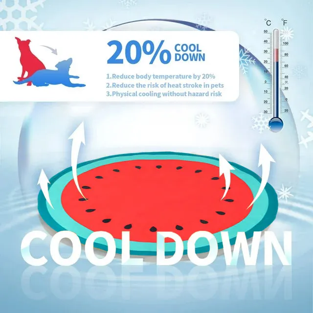 PAWISE  Watermelon Cooling Pet Mat Pets Qatar